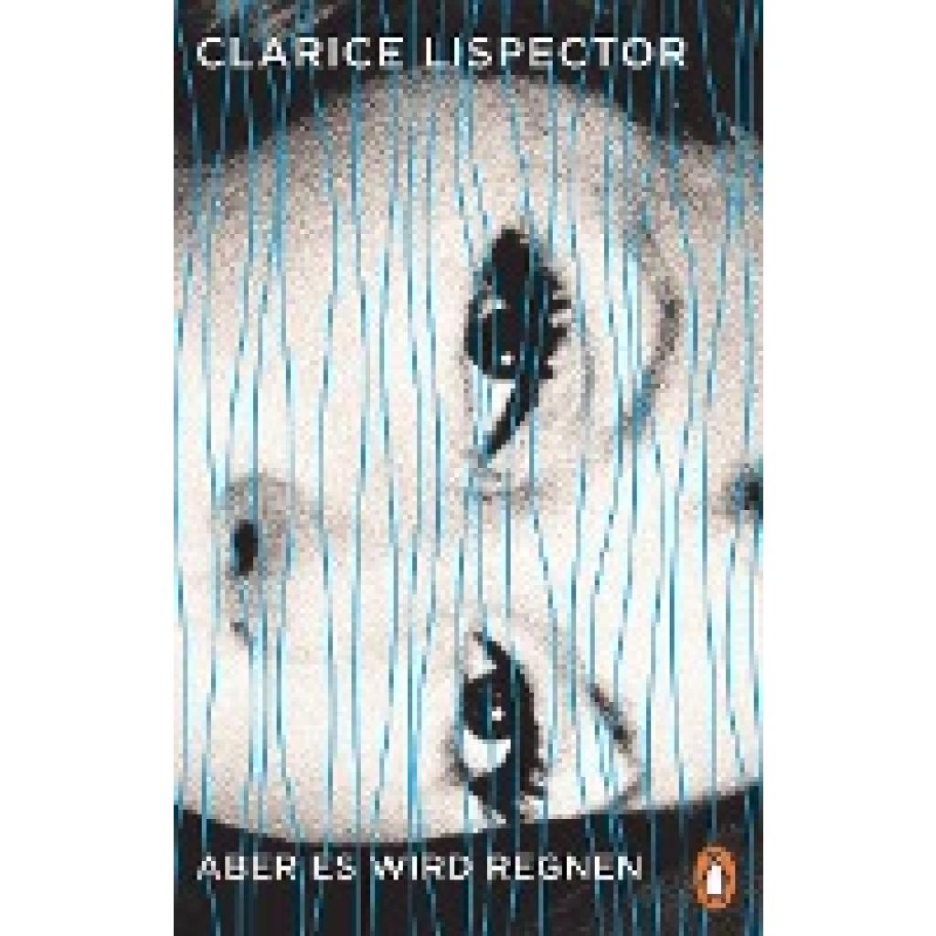 Aber es wird regnen (Lispector, Clarice)