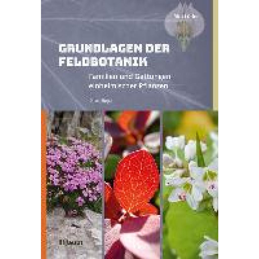 9783258082622 - Grundlagen der Feldbotanik - Rita Lüder Gebunden