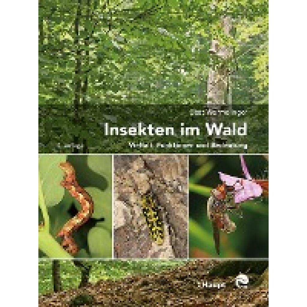 9783258082172 - Insekten im Wald - Beat Wermelinger Gebunden