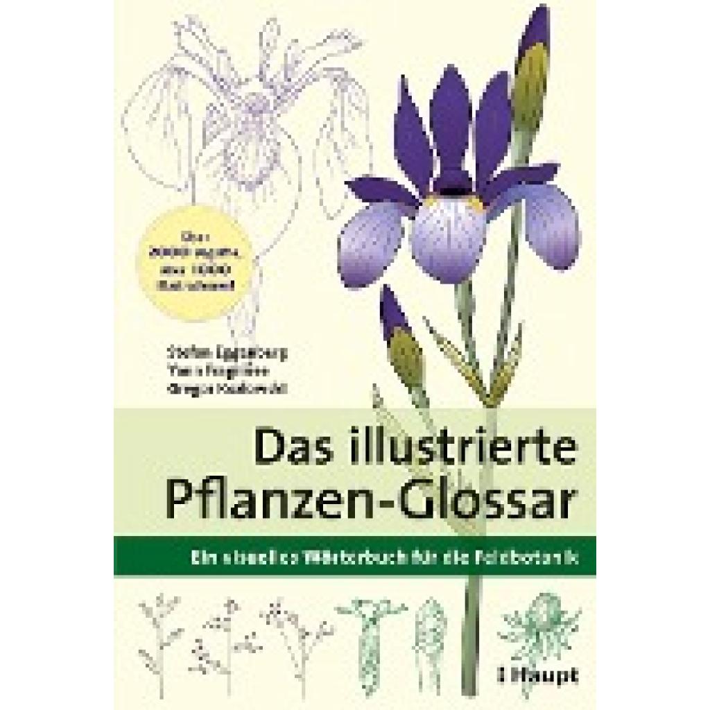 9783258081748 - Das illustrierte Pflanzen-Glossar - Stefan Eggenberg Yann Fragnière Gregor Kozlowski Kartoniert (TB) 9783258081748 - Das illustrierte Pflanzen-Glossar - Stefan Eggenberg Yann Fragnière Gregor Kozlowski Kartoniert (TB)