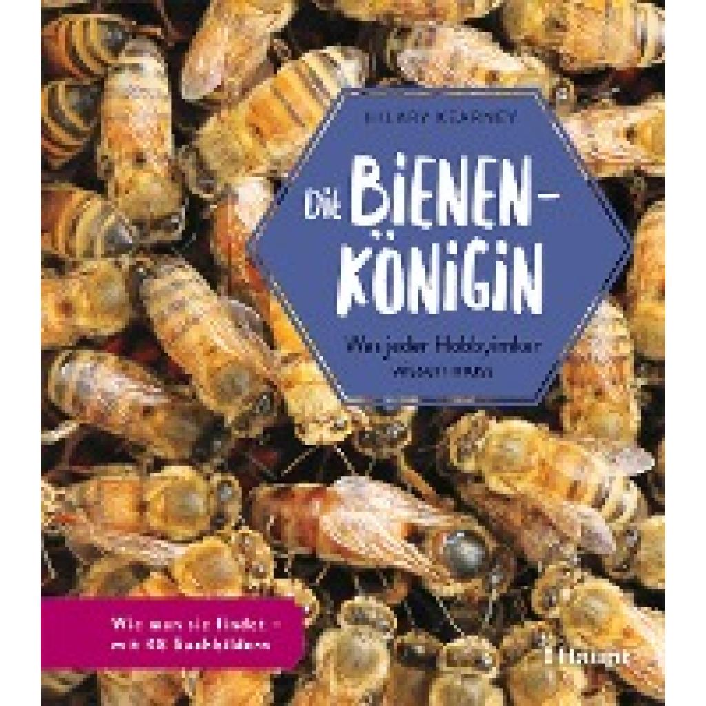 9783258081717 - Die Bienenkönigin - Hilary Kearney Gebunden 9783258081717 - Die Bienenkönigin - Hilary Kearney Gebunden