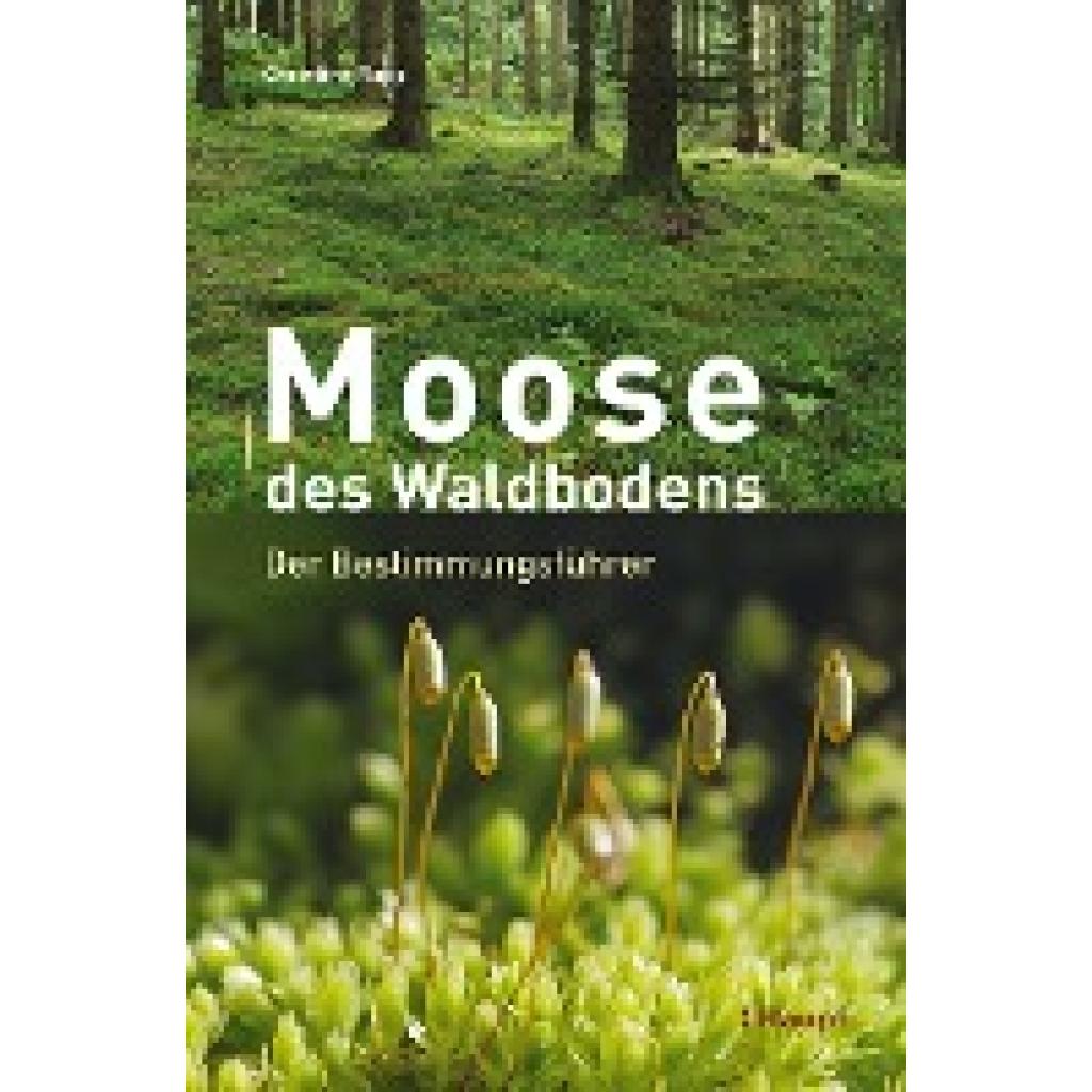 9783258081397 - Moose des Waldbodens - Christine Rapp Gebunden 9783258081397 - Moose des Waldbodens - Christine Rapp Gebunden