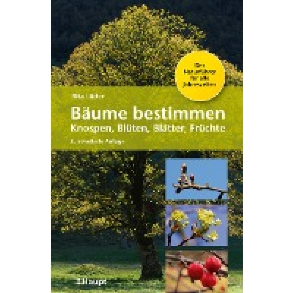 Bäume bestimmen - Knospen, Blüten, Blätter, Früchte (Lüder, Rita)