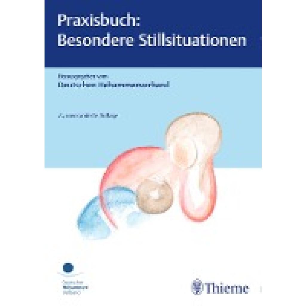 Praxisbuch: Besondere Stillsituationen