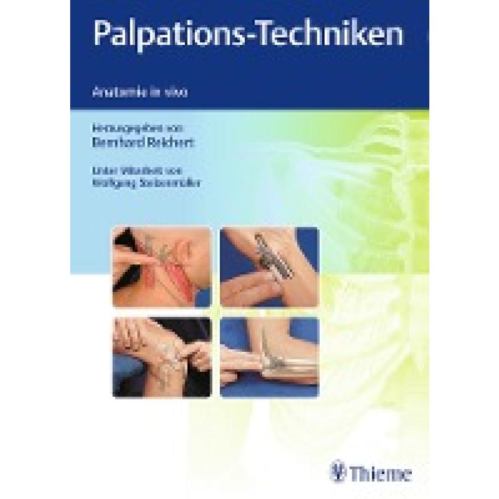 Palpations-Techniken
