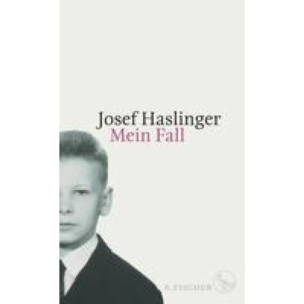 Mein Fall (Haslinger, Josef)