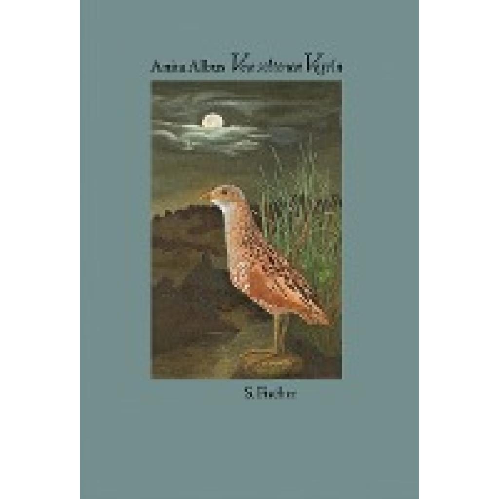Von seltenen Vögeln (Albus, Anita)