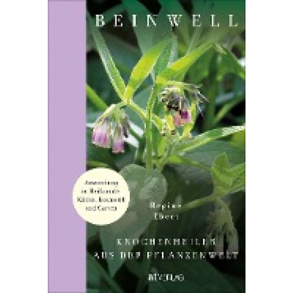 Beinwell (Ebert, Regine)