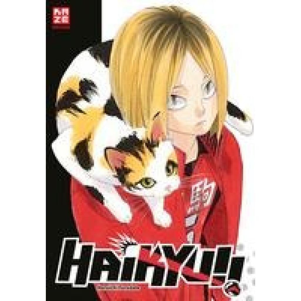 Haikyu!! Sammelbox 3 - Band 21-30 im Schuber (Furudate, Haruichi)