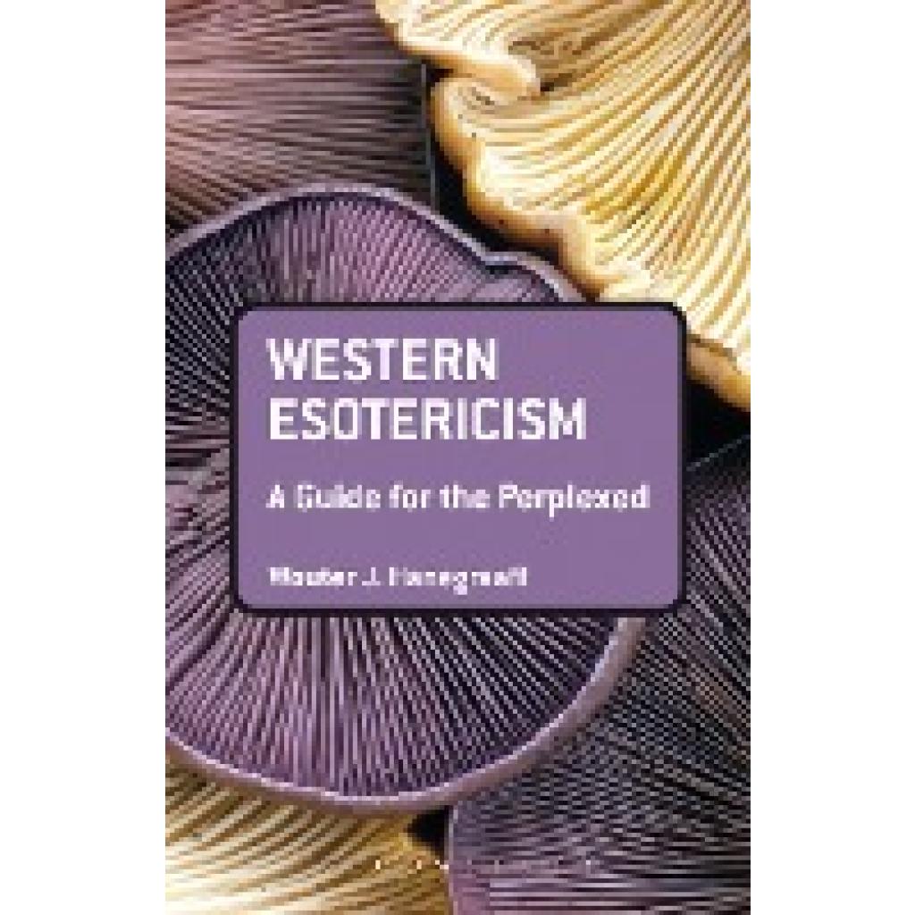 9781441136466 - Western Esotericism A Guide for the Perplexed - Wouter J Haneg Kartoniert (TB)