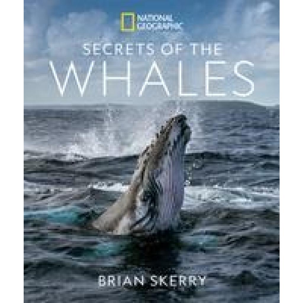 9781426221873 - Secrets of the Whales - Brian Skerry Gebunden