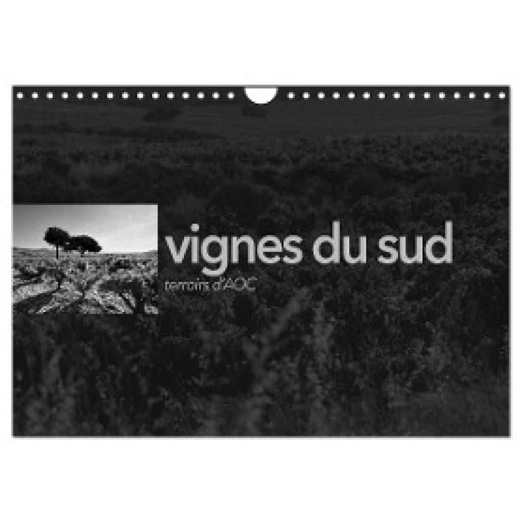 Perrin, Emmanuel: VIGNES DU SUD terroirs d'AOC (Calendrier mural 2024 DIN A4 vertical), CALVENDO calendrier mensuel
