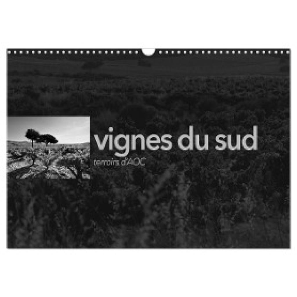 Perrin, Emmanuel: VIGNES DU SUD terroirs d'AOC (Calendrier mural 2024 DIN A3 vertical), CALVENDO calendrier mensuel