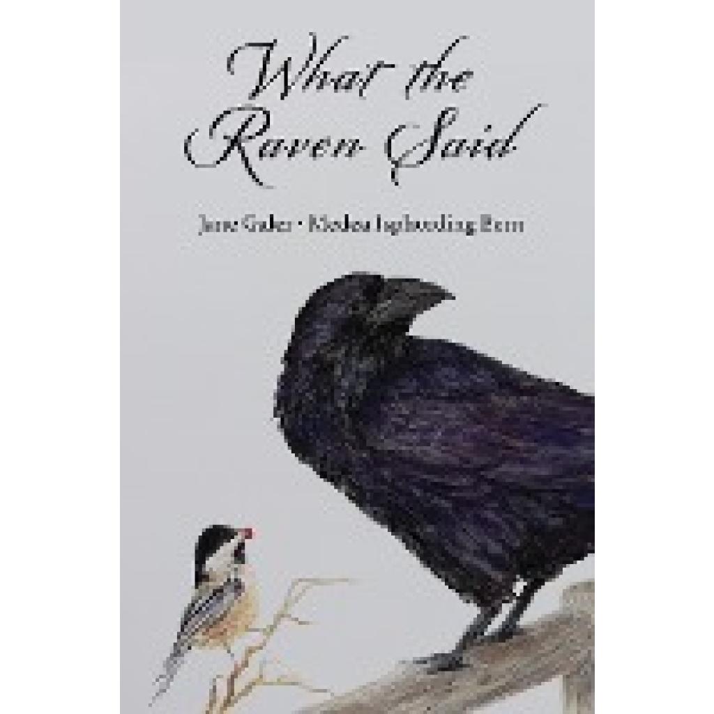 Galer, Jane: What the Raven Said