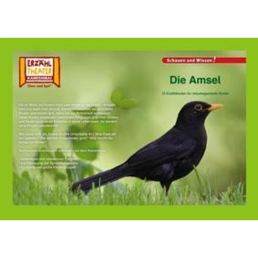 Kamishibai: Die Amsel