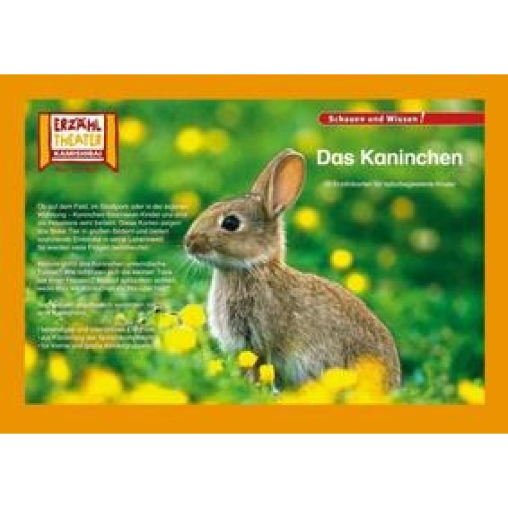 Kamishibai: Das Kaninchen