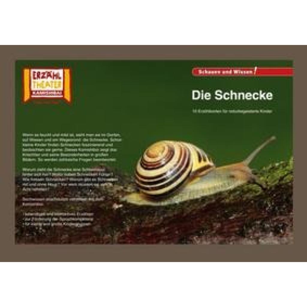 Kamishibai: Die Schnecke