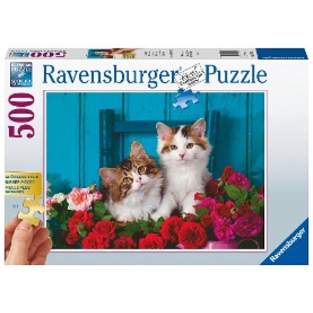 Ravensburger Puzzle - Katzenbabys - Gold Edition 500 Teile