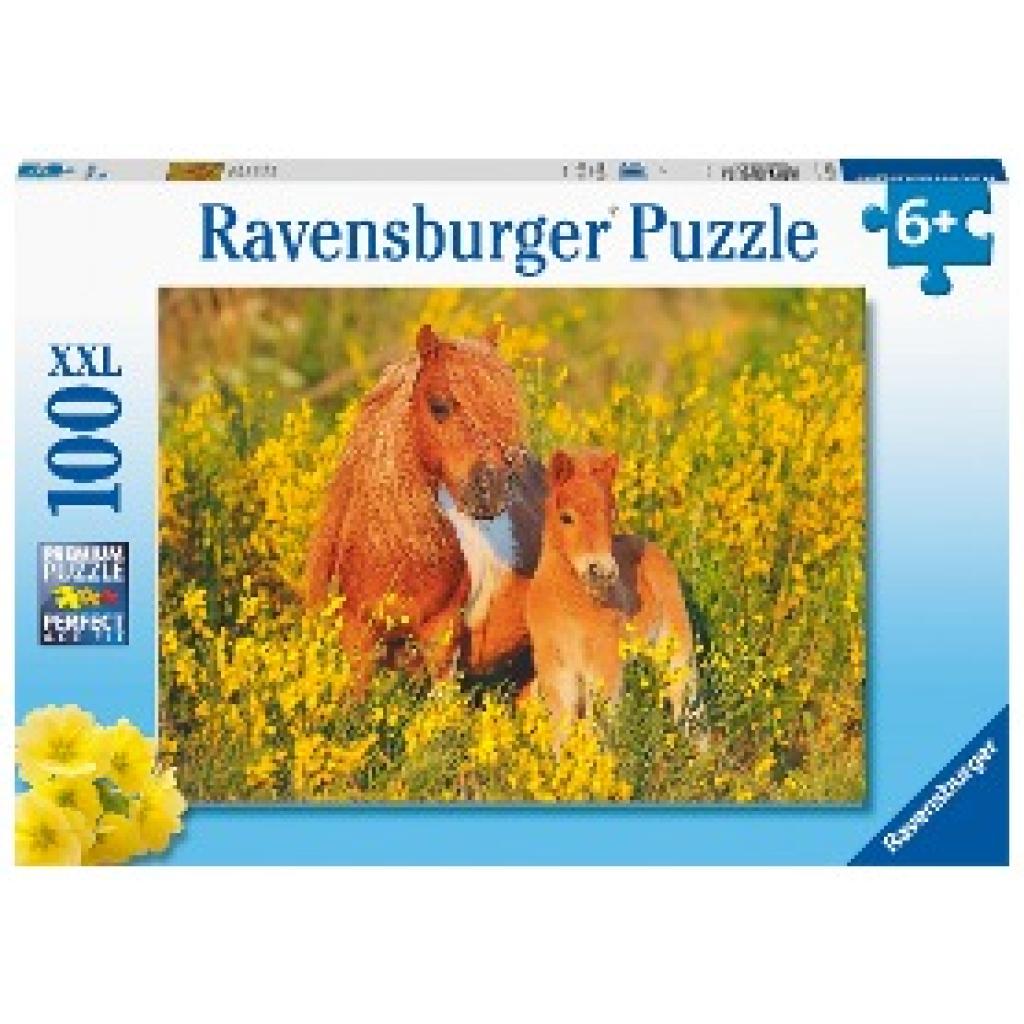 Ravensburger Kinderpuzzle - Shetlandponys - 100 Teile Puzzle für Kinder ab 6 Jahren