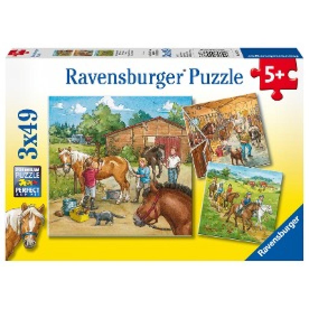 Mein Reiterhof. Puzzle (3 x 49 Teile)