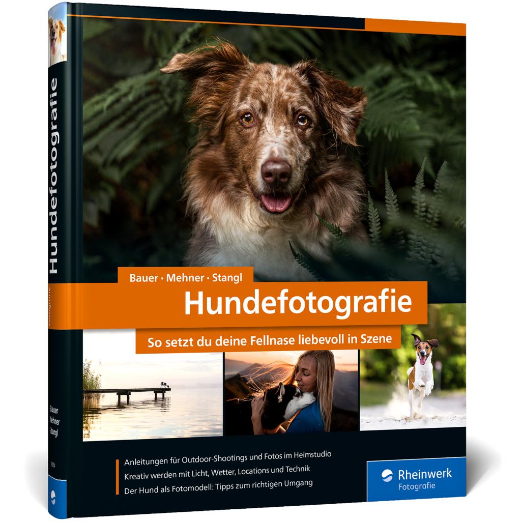 9783836290548 - Hundefotografie - André Bauer Diana Jill Mehner Sarah Stangl Gebunden