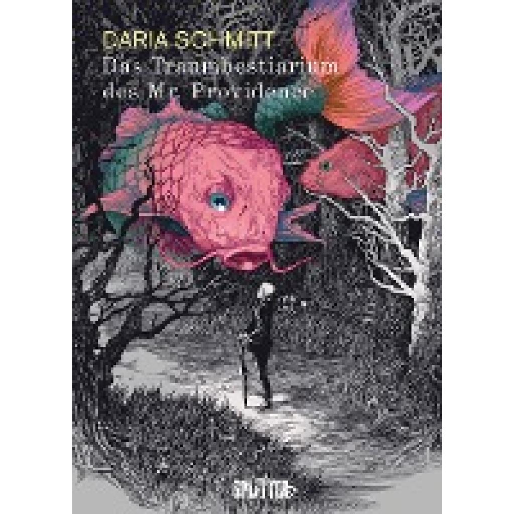 Schmitt, Daria: Das Traumbestiarium des Mr. Providence