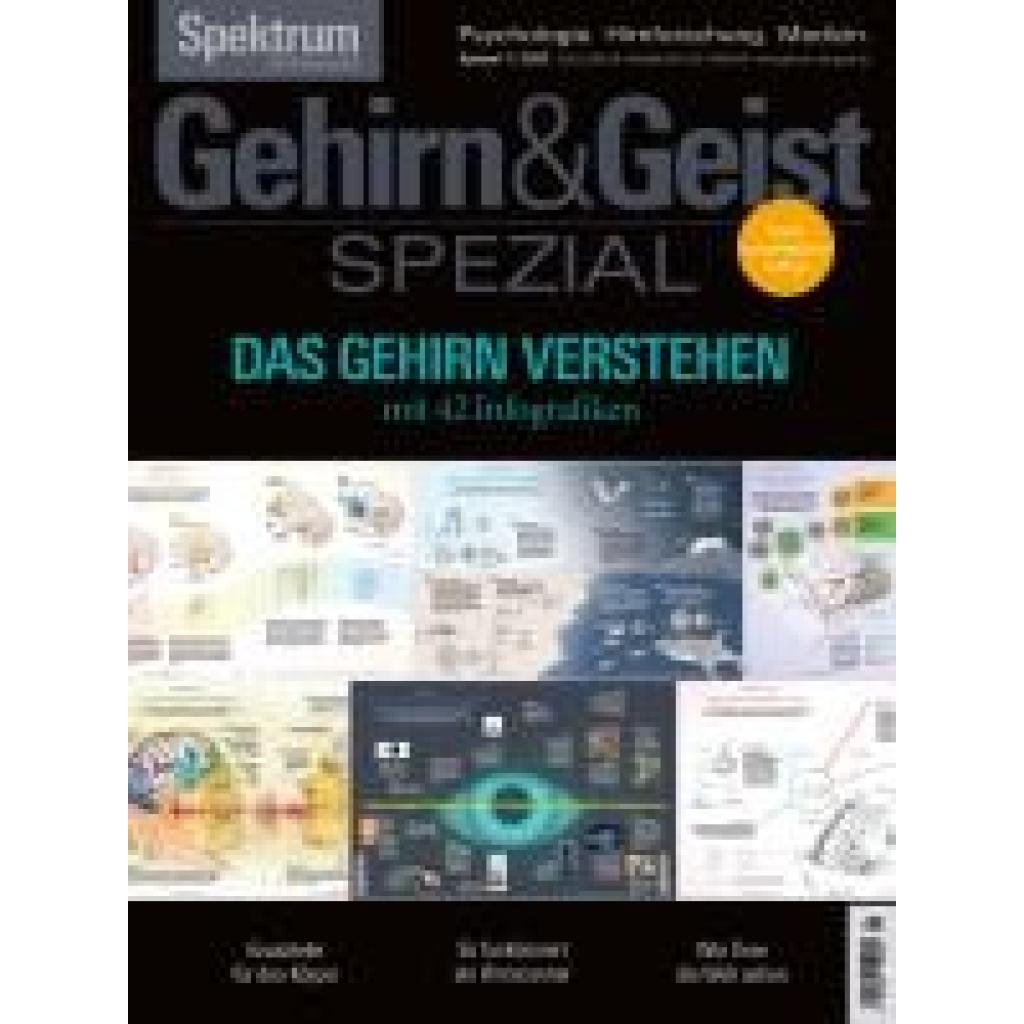 Spektrum der Wissenschaft: GehirnGeist Spezial - Das Gehirn verstehen