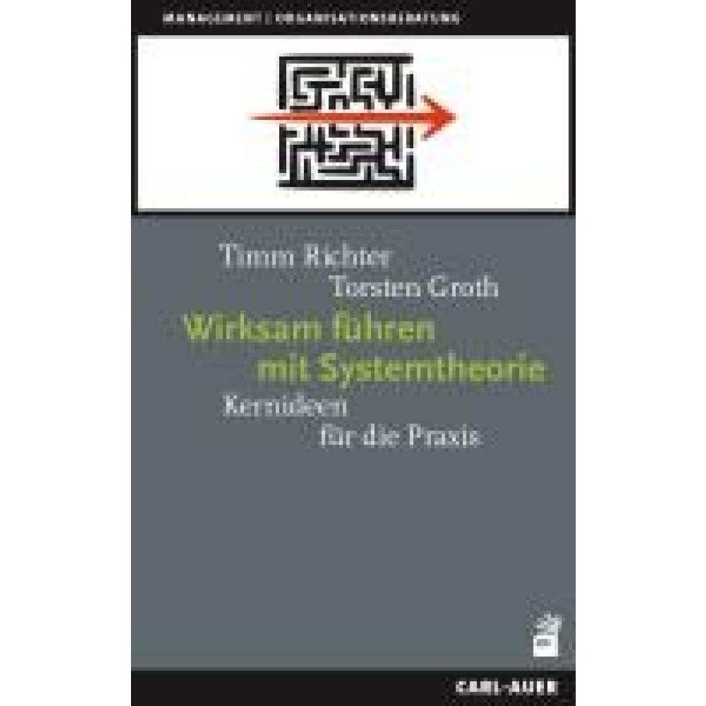 9783849705060 - Management   Wirksam führen mit Systemtheorie - Timm Richter Torsten Groth Gebunden