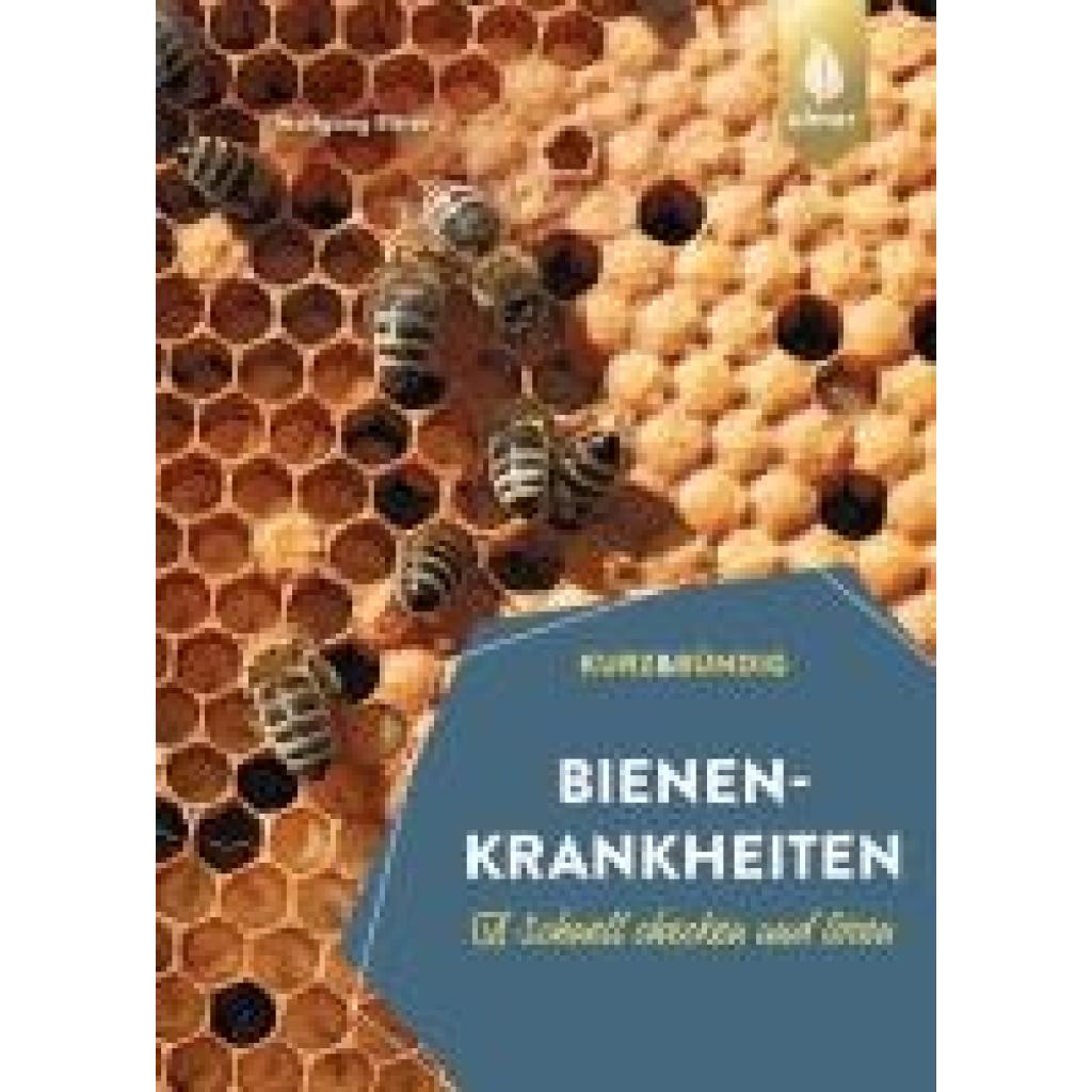 9783818617691 - Bienenkrankheiten - Wolfgang Ritter Kartoniert (TB)