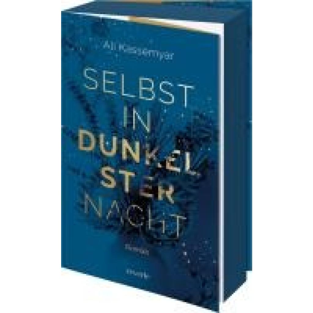 9783745704105 - Selbst in dunkelster Nacht Liora & Kieran Bd1 - Ali Kassemyar Kartoniert (TB) 9783745704105 - Selbst in dunkelster Nacht Liora & Kieran Bd1 - Ali Kassemyar Kartoniert (TB)