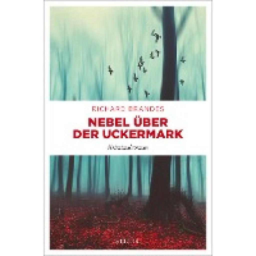 9783740818395 - Nebel über der Uckermark - Richard Brandes Kartoniert (TB)