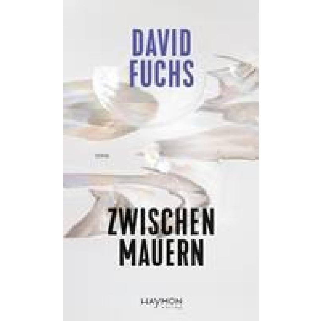 9783709982037 - Zwischen Mauern - David Fuchs Gebunden