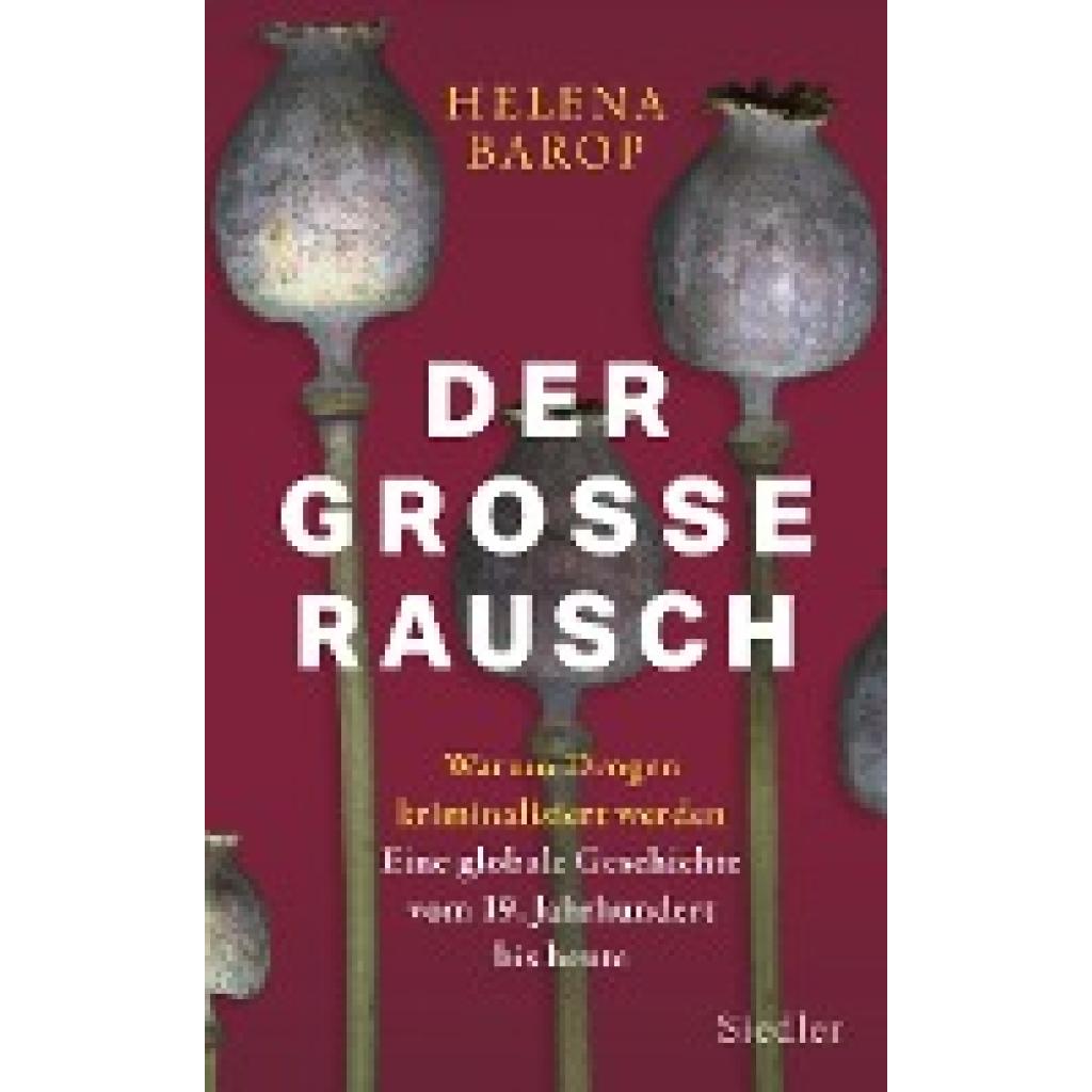 Barop, Helena: Der große Rausch