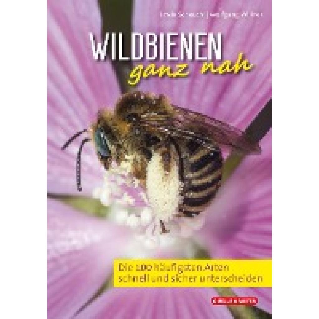 9783494018706 - Scheuchl Erwin Wildbienen ganz nah