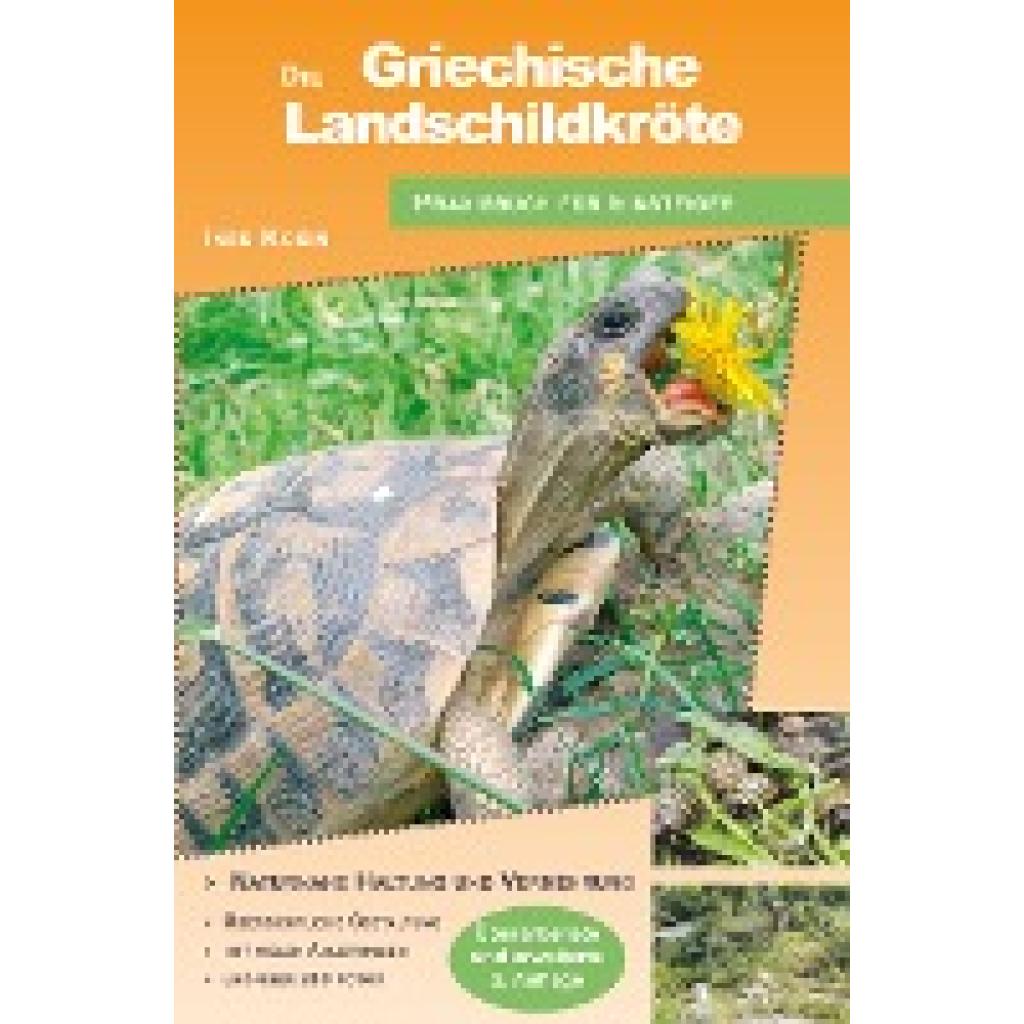9783936180343 - Die Griechische Landschildkröte - Ines Kosin Kartoniert (TB)