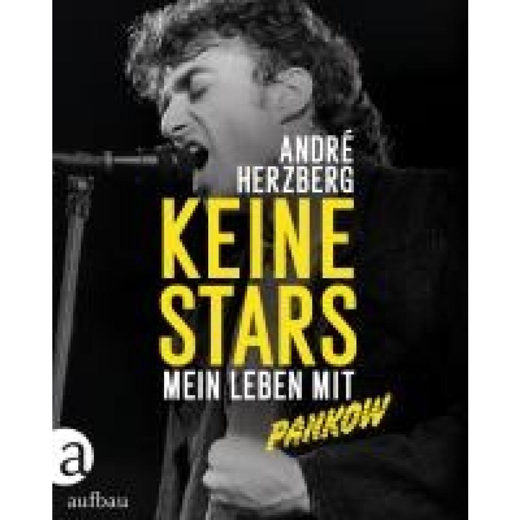 9783351038434 - Keine Stars - André Herzberg Gebunden