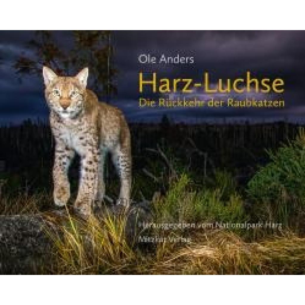 9783959541374 - Harz-Luchse Die Rückkehr der Raubkatzen - Ole Anders Gebunden