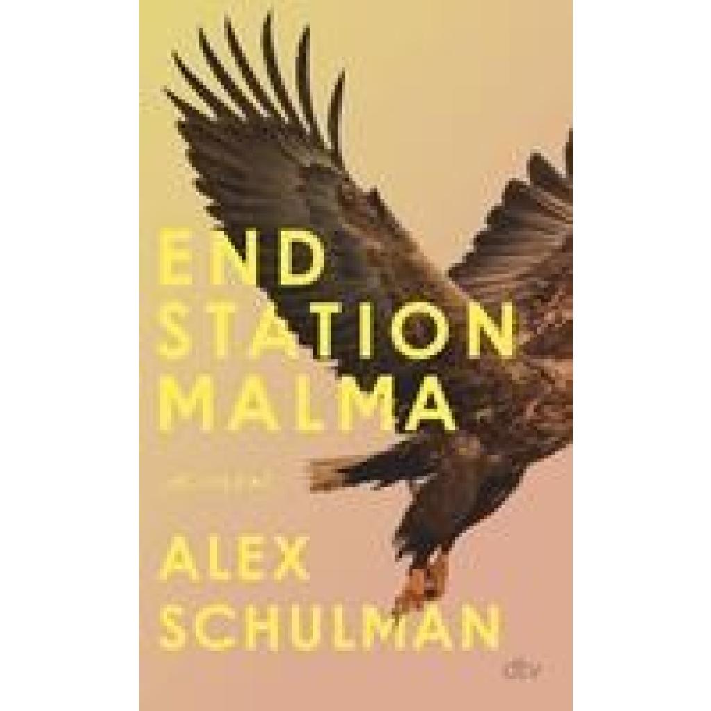 9783423283533 - Endstation Malma - Alex Schulman Gebunden