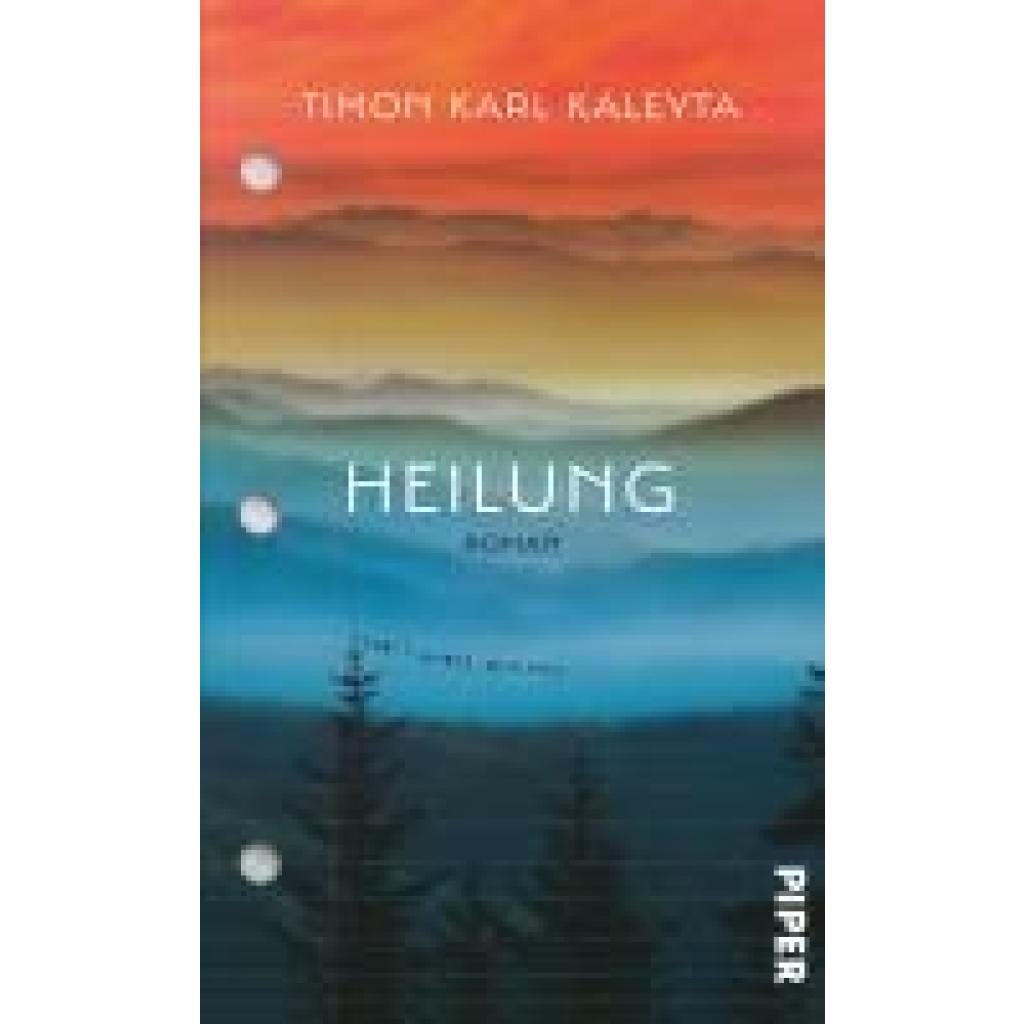 9783492071710 - Heilung - Timon Karl Kaleyta Gebunden