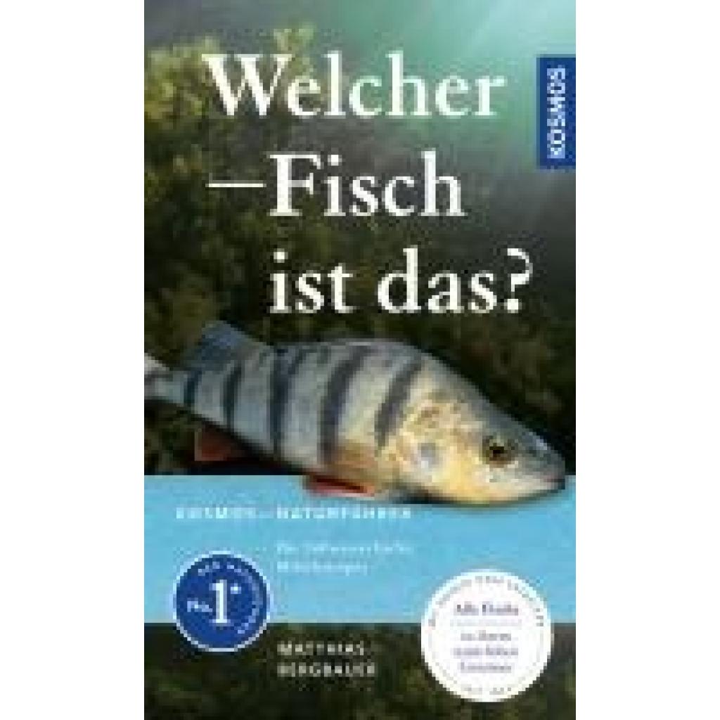 9783440179796 - Welcher Fisch ist das? - Matthias Bergbauer Kartoniert (TB)