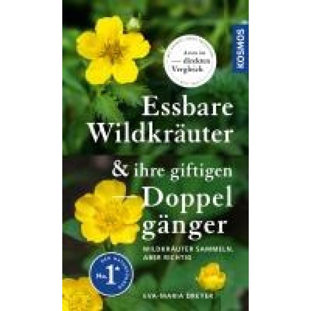 9783440176764 - Essbare Wildkräuter und ihre giftigen Doppelgänger - Eva-Maria Dreyer Kartoniert (TB)