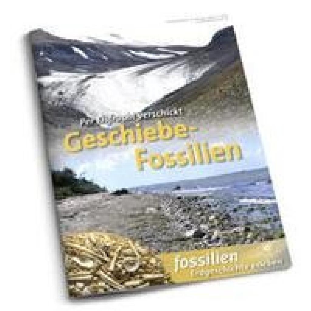 Lehmann, Jens: Geschiebe-Fossilien