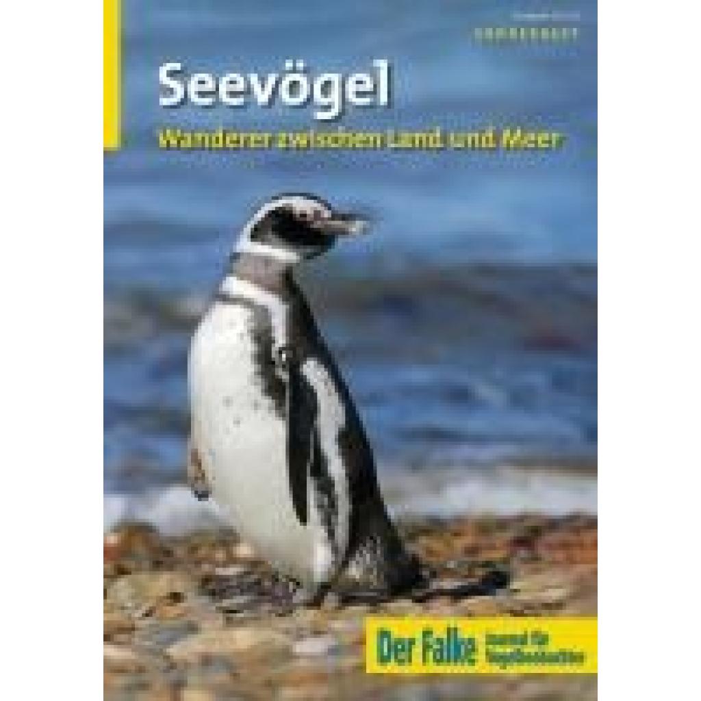 9783891048559 - See- und Küstenvögel 9783891048559 - See- und Küstenvögel