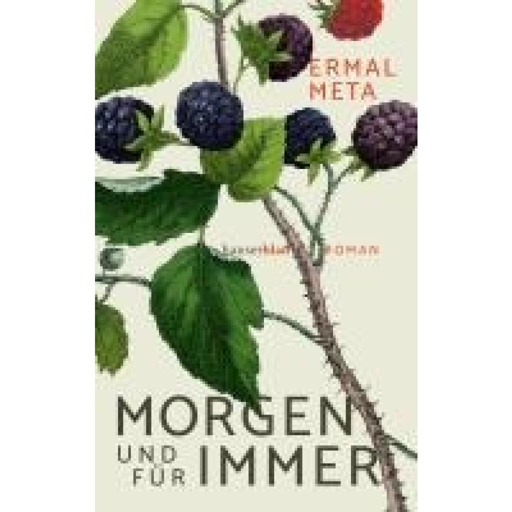 9783446279810 - Morgen und für immer - Ermal Meta Kartoniert (TB) 9783446279810 - Morgen und für immer - Ermal Meta Kartoniert (TB)