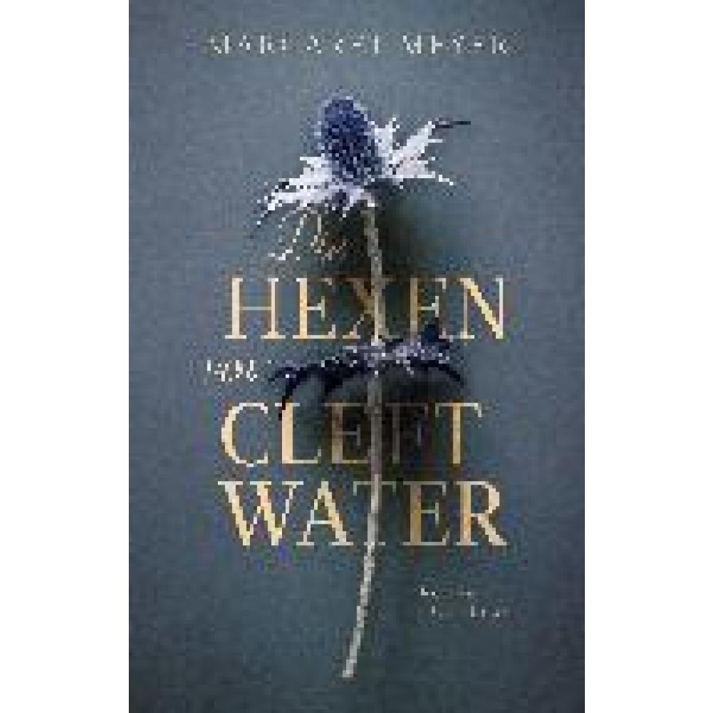 9783406806865 - Die Hexen von Cleftwater - Margaret Meyer Gebunden