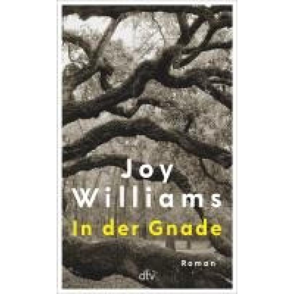 9783423283991 - In der Gnade - Joy Williams Gebunden