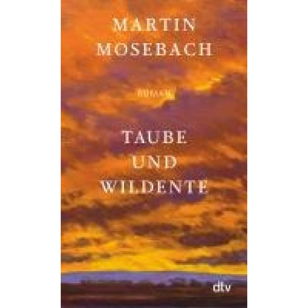 9783423148894 - Taube und Wildente - Martin Mosebach Taschenbuch