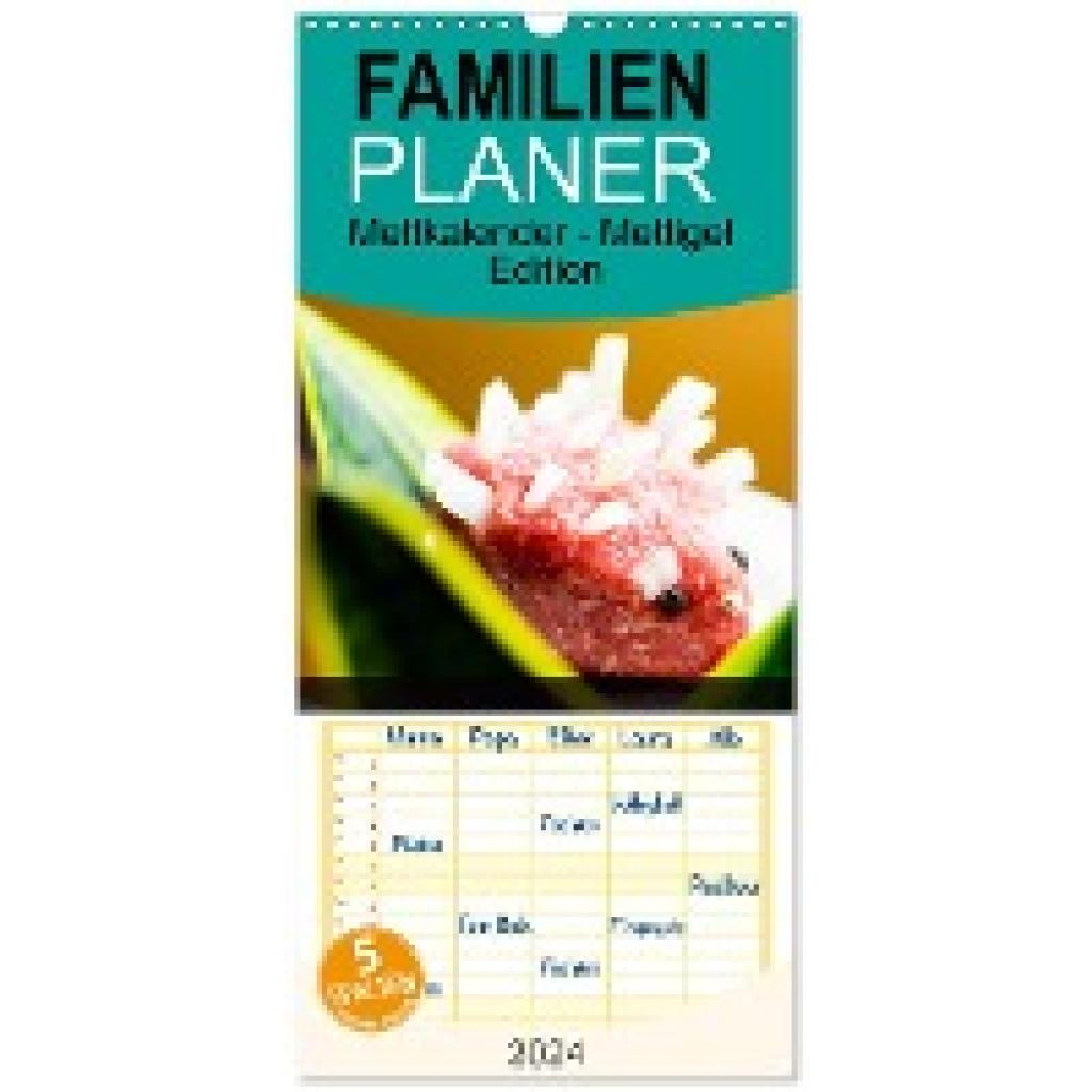 Mettfluencer, Mettfluencer: Familienplaner 2024 - Mettkalender - Mettigel Edition mit 5 Spalten (Wandkalender, 21 x 45 c