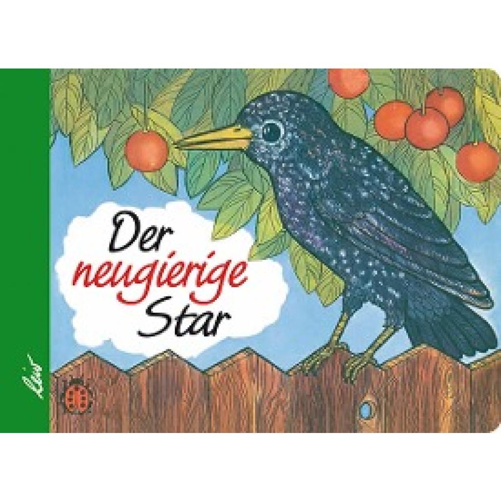 Geiling, Irene: Der neugierige Star