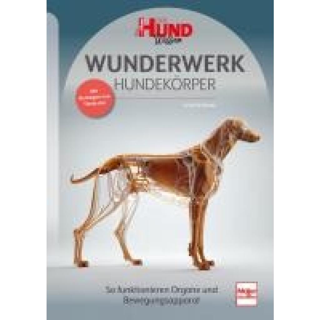 9783275023080 - WUNDERWERK HUNDEKÖRPER - Lena Schwarz Kartoniert (TB)